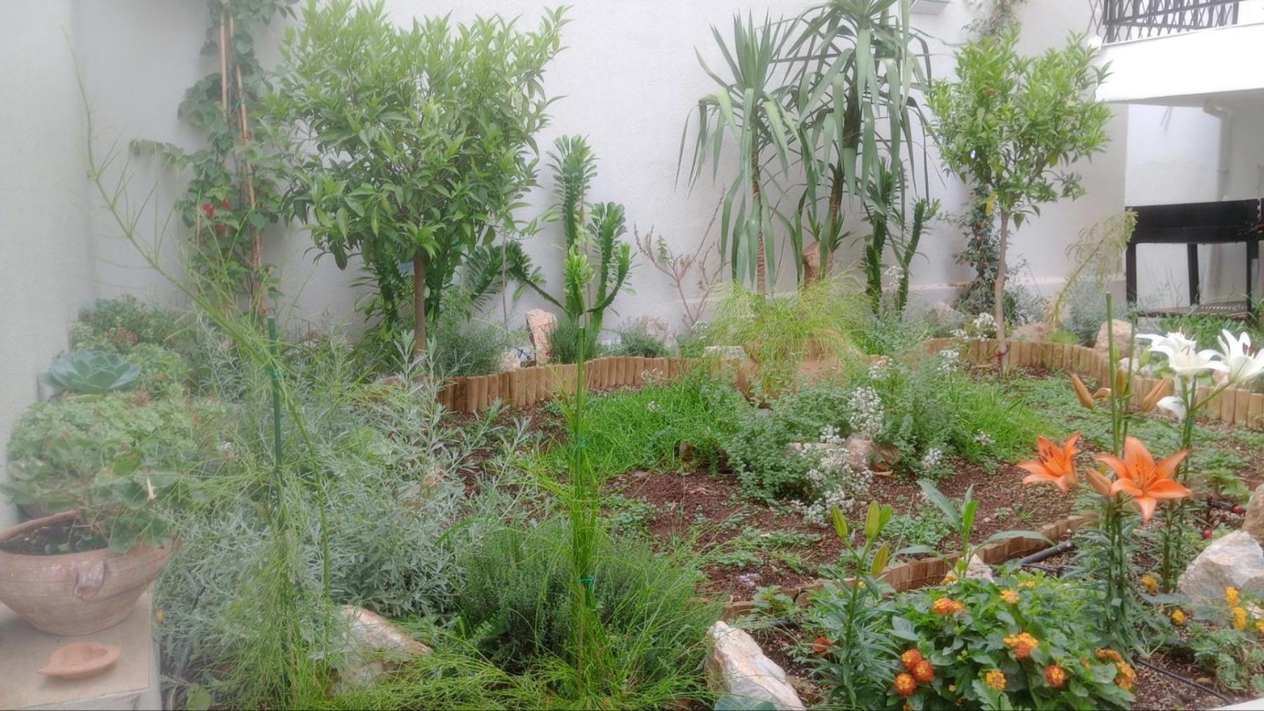 Appartement Annag And Zitahouse Athene